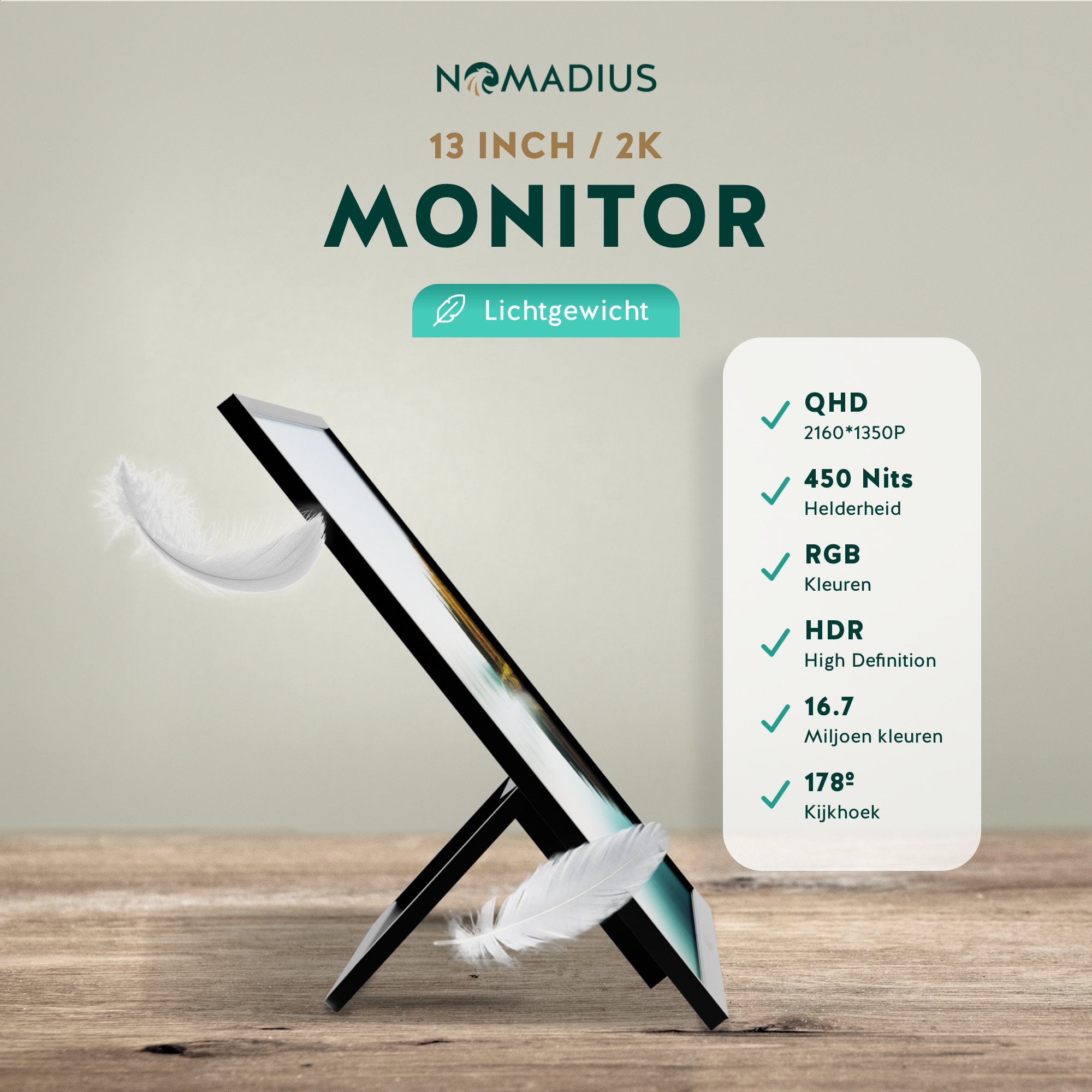 Portable Monitor